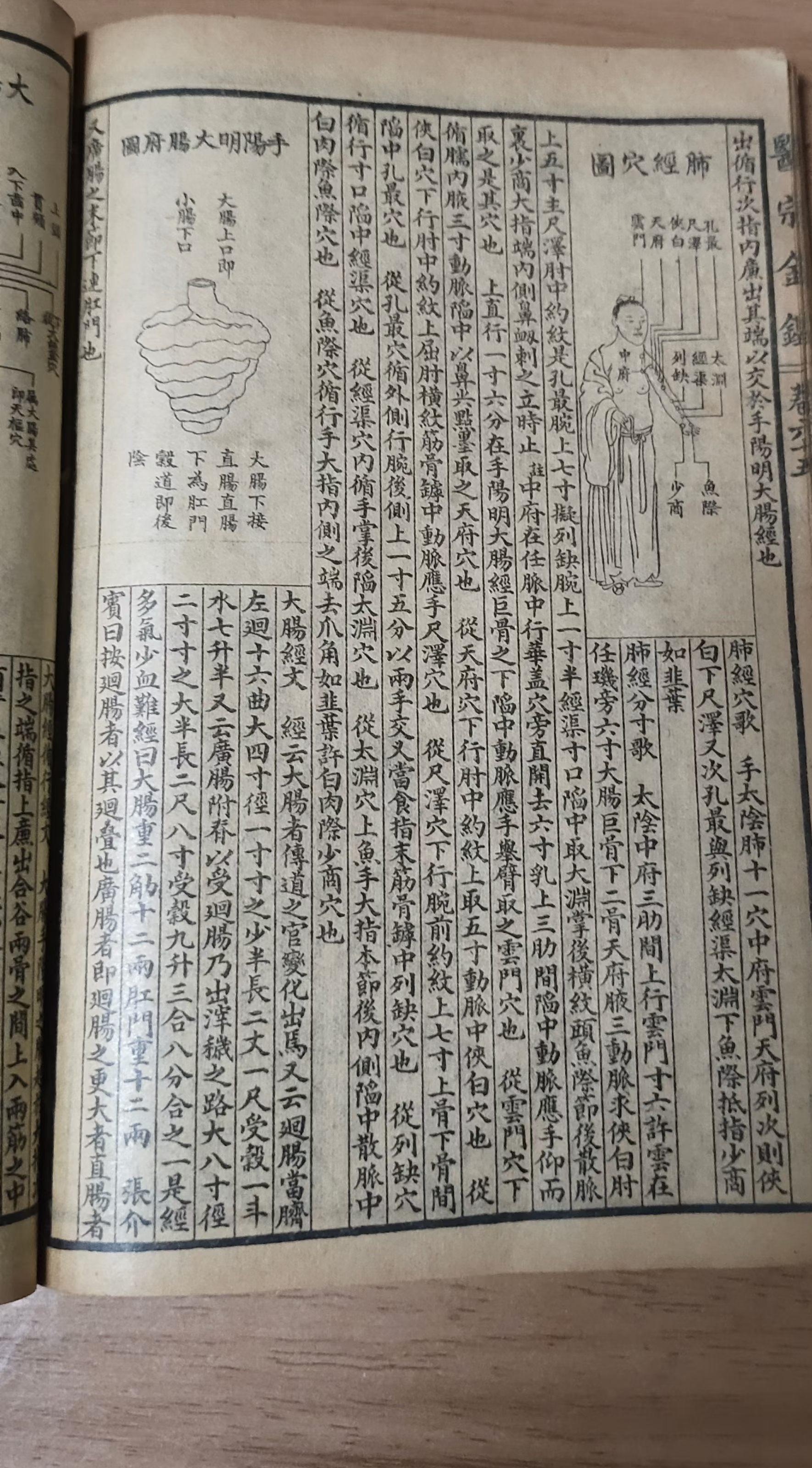 《医宗金鉴》石印本:肺经穴图与手阳明大肠腑图