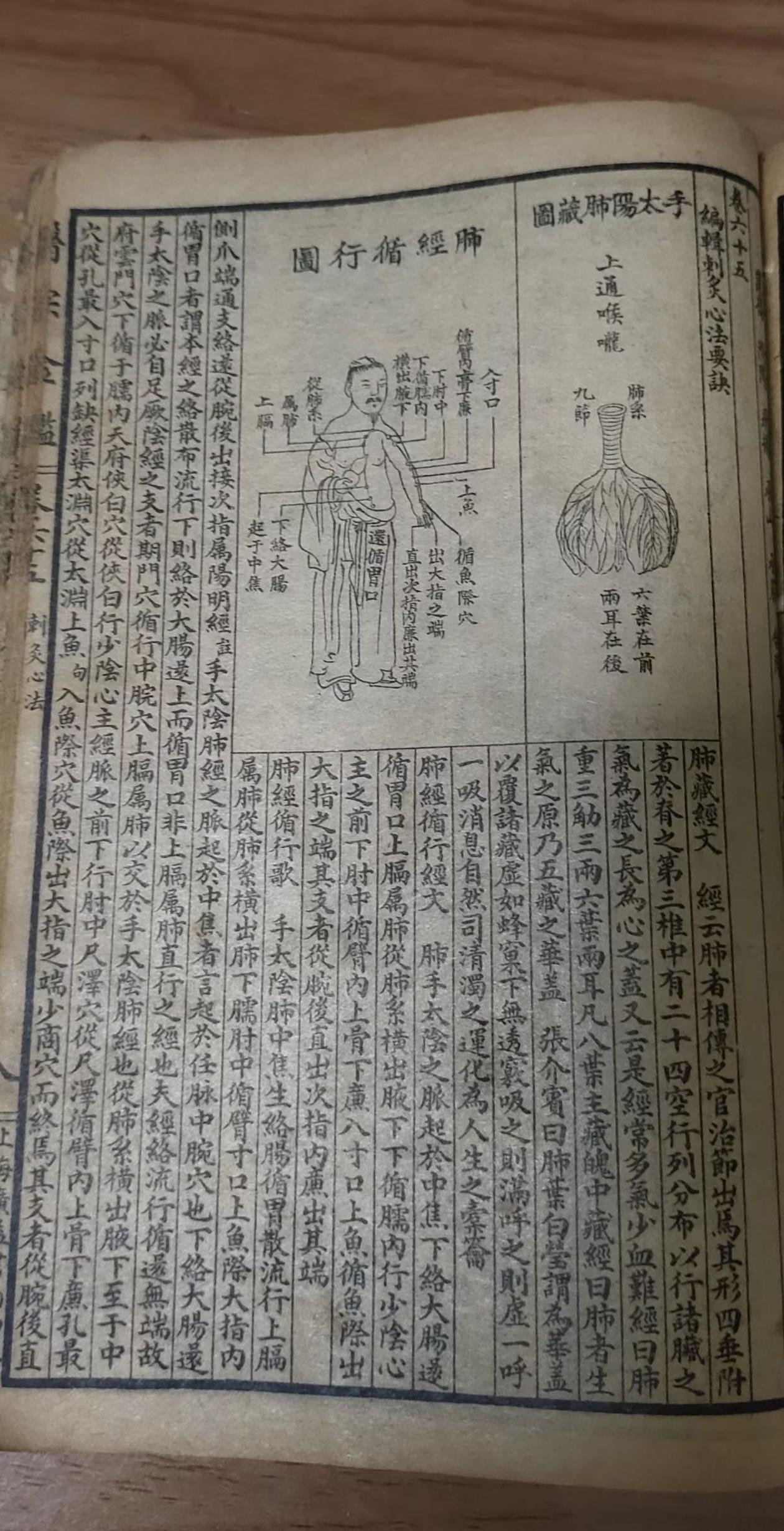 《医宗金鉴》石印本:手太阴肺脏图与肺经循行图